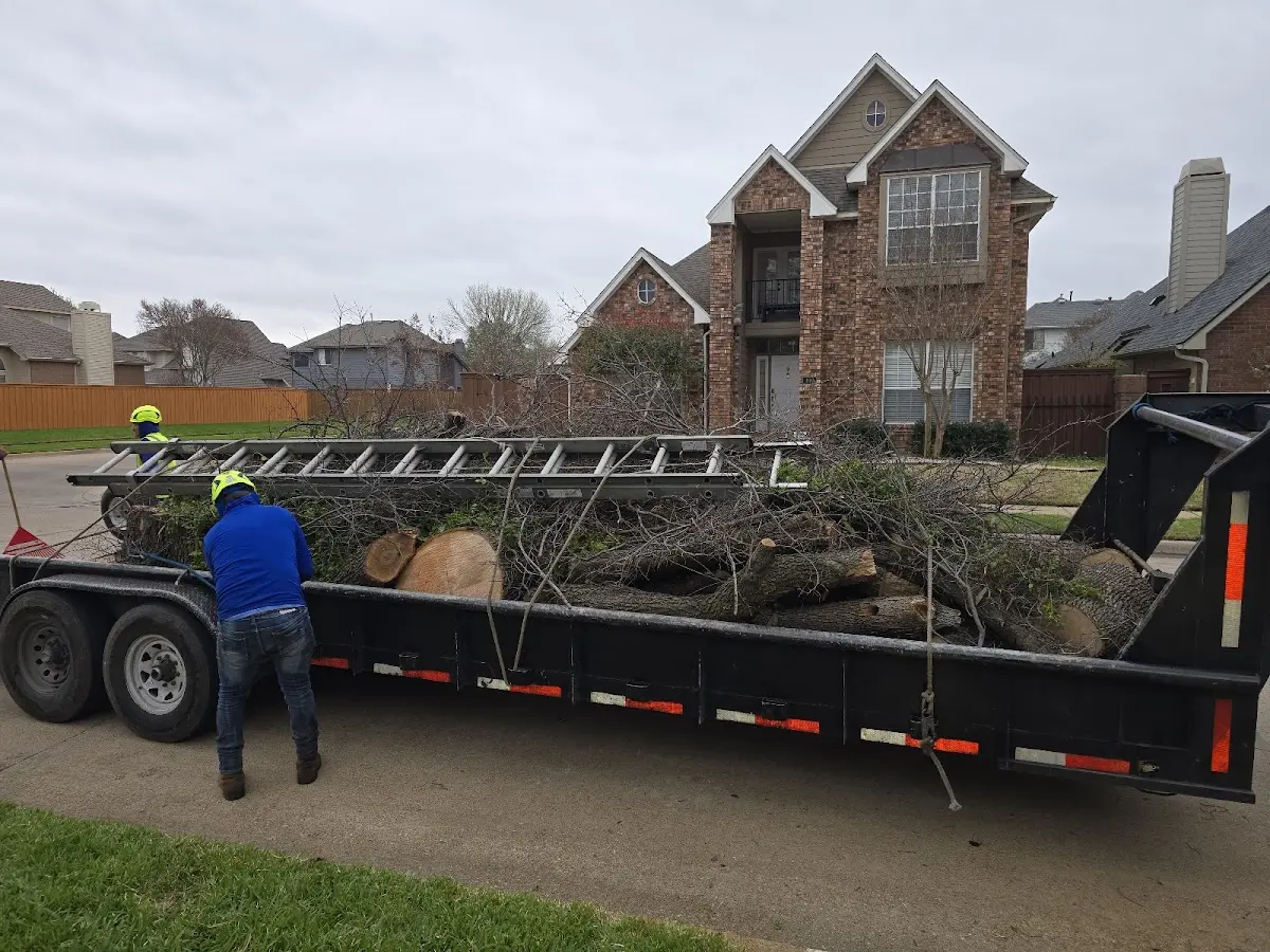 Expert Tree Pest Control with proper safety equipment in Rosemont